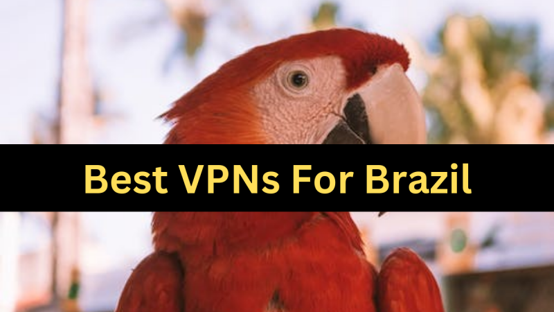 Best VPN for Brazil: Preserve your Online Activity